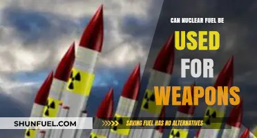 Nuclear Fuel's Dual Nature: Power Source or Weapon Potential?