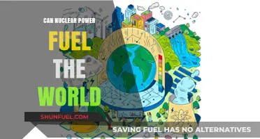 Nuclear Power: A Sustainable Solution to Fuel Global Energy Demands?
