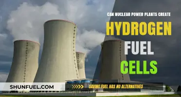 Can Nuclear Power Plants Revolutionize Hydrogen Fuel Cell Production?