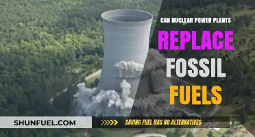 Nuclear Power: A Green Alternative to Fossil Fuels?