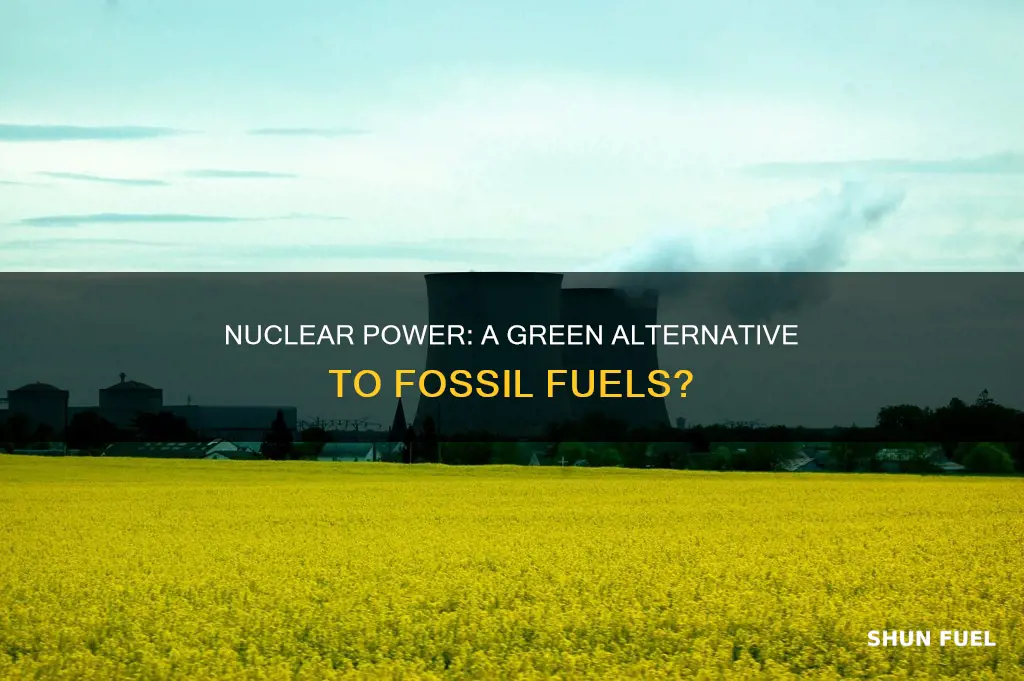 can nuclear power plants replace fossil fuels