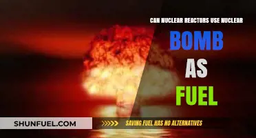 Can Nuclear Bombs Fuel Reactors? Exploring Unconventional Energy Sources