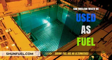 Repurposing Nuclear Waste: A Viable Alternative Fuel Source?
