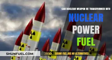 Transforming Nuclear Weapons into Clean Energy: A Feasible Future?