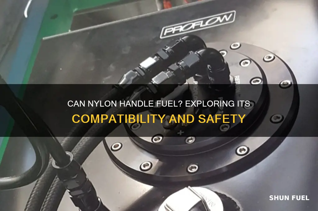 can nylon handle fuel