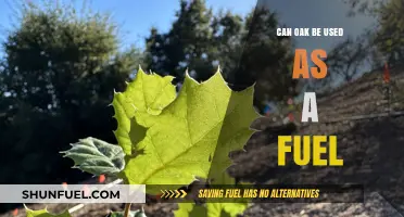 Oak as Fuel: Exploring Its Viability and Environmental Impact