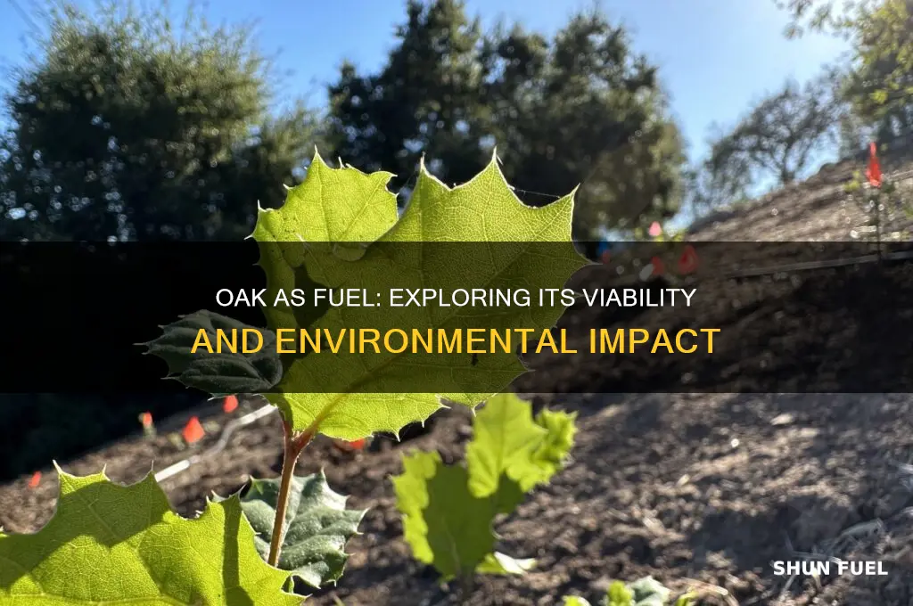 can oak be used as a fuel