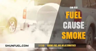 Old Fuel and Smoke: Understanding the Risks and Causes