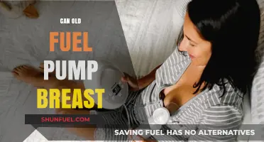 Can Old Fuel Pumps Safely Breastfeed? Myths and Facts Explained
