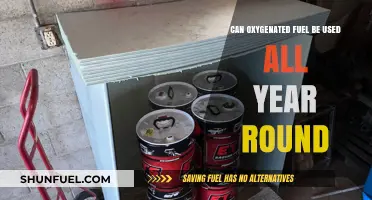 Oxygenated Fuel: Year-Round Performance and Environmental Benefits Explained