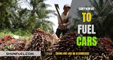 Palm Oil: The Green Fuel for a Sustainable Future?