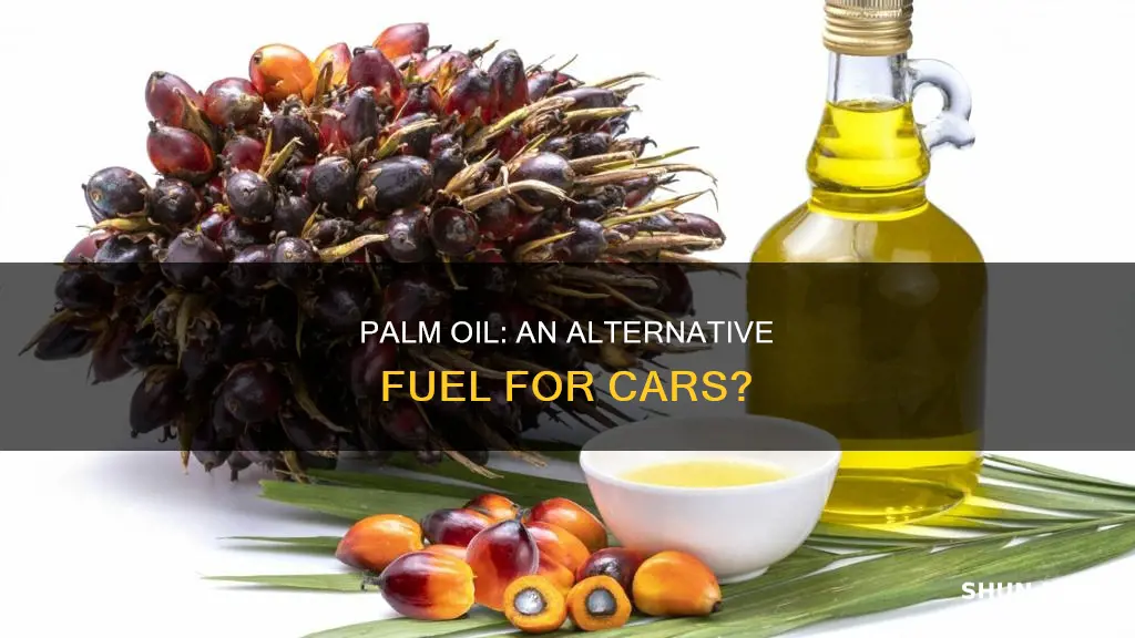 can palm oil to fuel cars