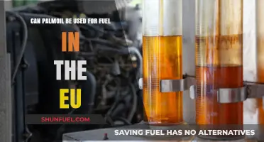 Palm Oil as EU Biofuel: Sustainability, Policies, and Environmental Impact
