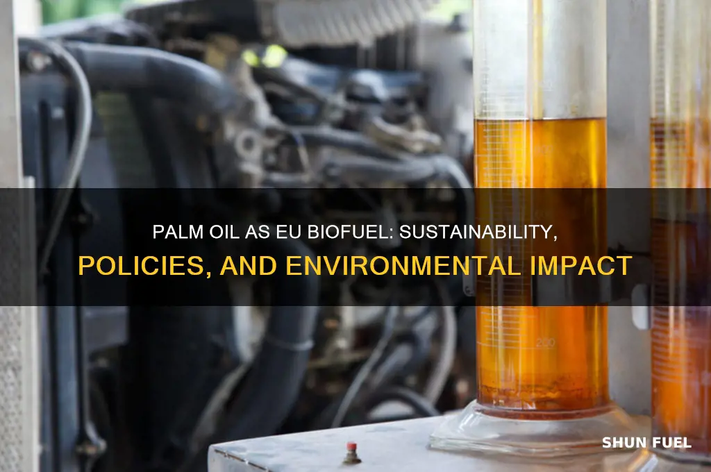 can palmoil be used for fuel in the eu