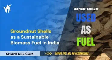 Peanut Shells as Fuel: A Sustainable Energy Alternative?