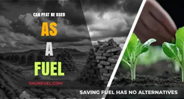 Peat as Fuel: Sustainable Energy Source or Environmental Concern?