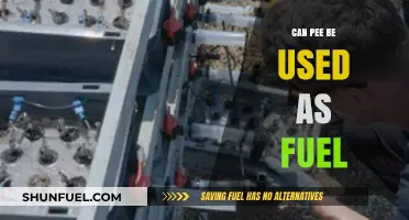Exploring the Potential of Human Urine as an Alternative Fuel Source