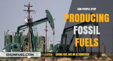 Ending Fossil Fuels: Can We Stop Production?