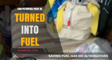 Turning Petrified Poop into Fuel: A Sustainable Energy Alternative?