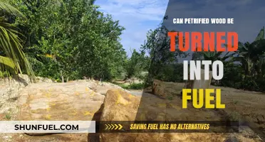 Exploring Petrified Wood: A Viable Alternative Fuel Source?