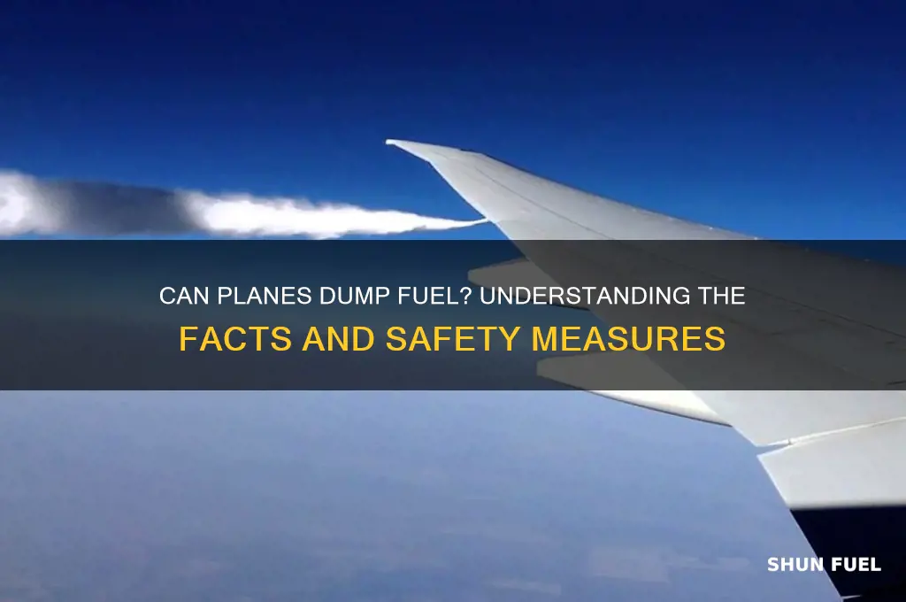 can planes dump fuel