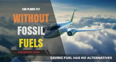 How Can Planes Fly Without Fossil Fuels?