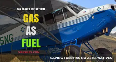 Exploring Natural Gas as a Sustainable Fuel Option for Aircraft