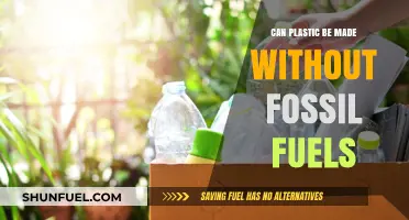 Eco-Friendly Alternatives: Can Plastic Be Made Without Fossil Fuels?