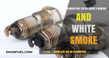 Fuel Filter Problems: Misfire and White Smoke?