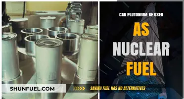 Can Plutonium Power the Future as a Nuclear Fuel?