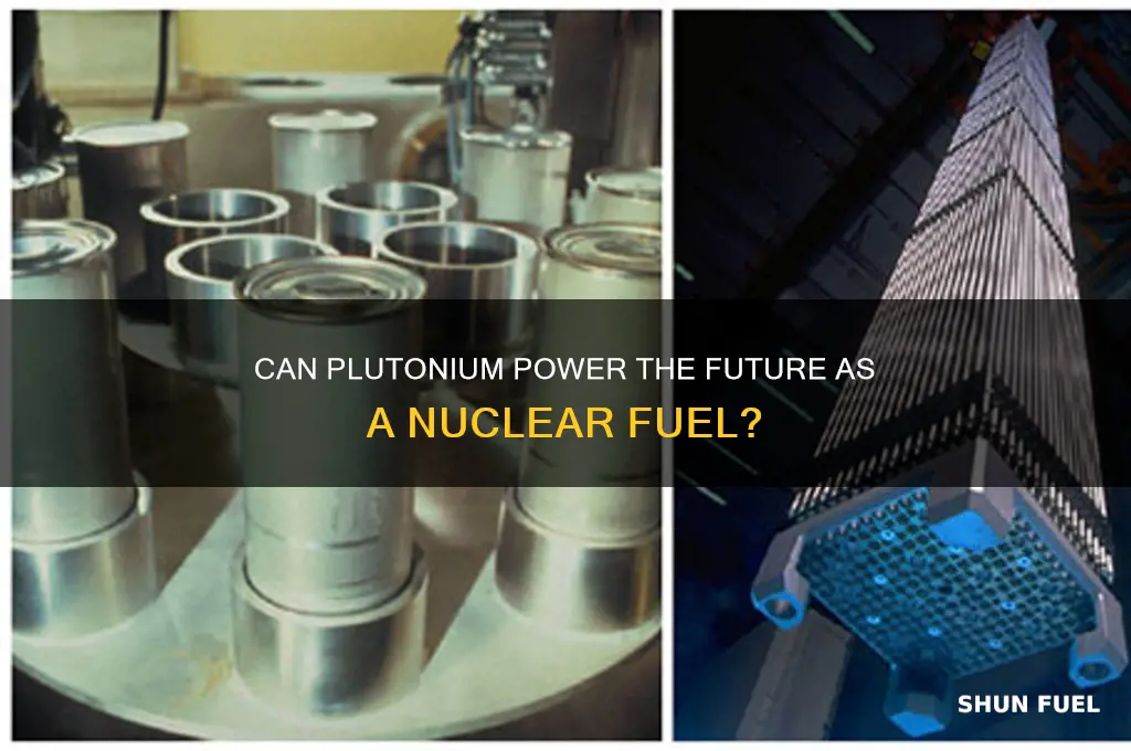 can plutonium be used as nuclear fuel