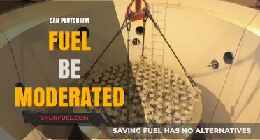Can Plutonium Fuel Be Moderated? Exploring Nuclear Reactor Possibilities