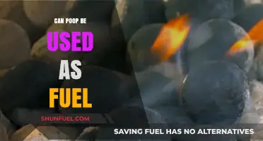 Turning Waste into Watts: Exploring Poop as a Renewable Fuel Source
