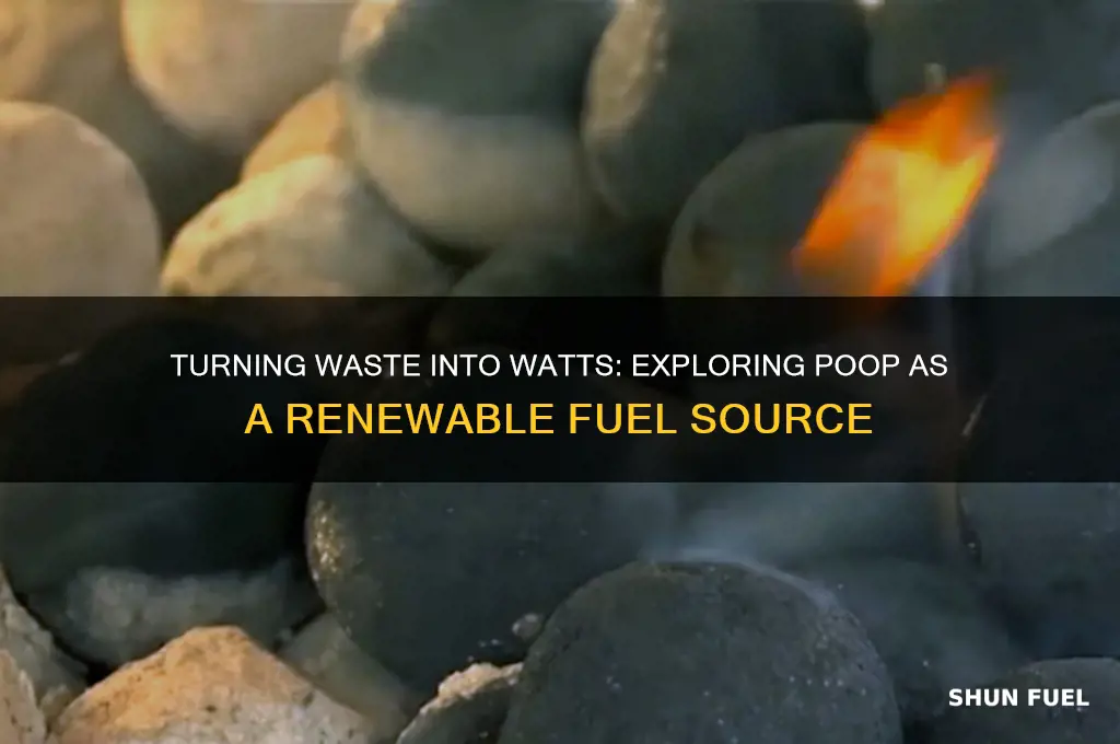 can poop be used as fuel