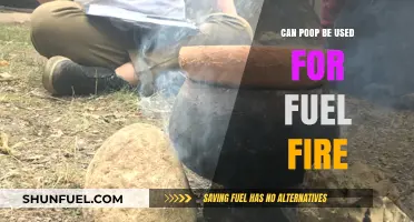 Turning Waste into Warmth: Exploring Poop as a Fuel Source