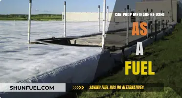 Harnessing Poop Methane: A Sustainable Fuel Alternative for the Future