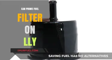 Fuel Filter Facts: Prime Performance for Your Engine
