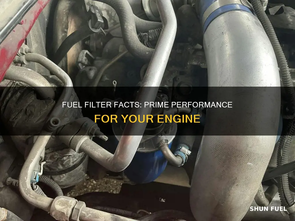 can prime fuel filter on lly