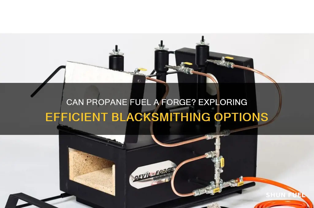 can propane fuel a forge