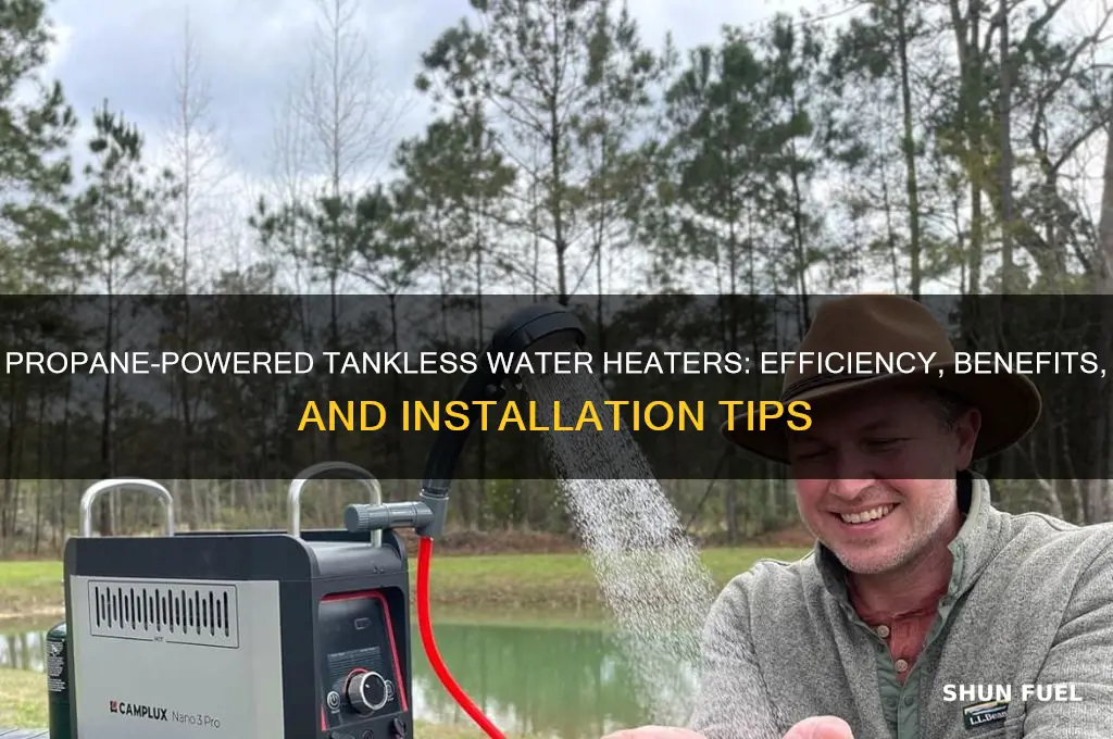 can propane fuel a tankless water heater
