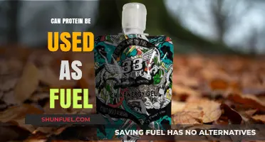 Protein as Fuel: Unlocking Energy Potential Beyond Muscle Building