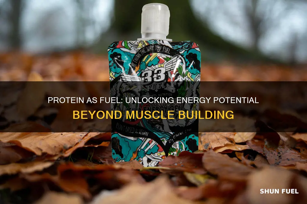 can protein be used as fuel