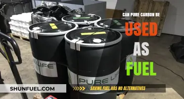 Exploring Pure Carbon's Potential as a Sustainable Fuel Source