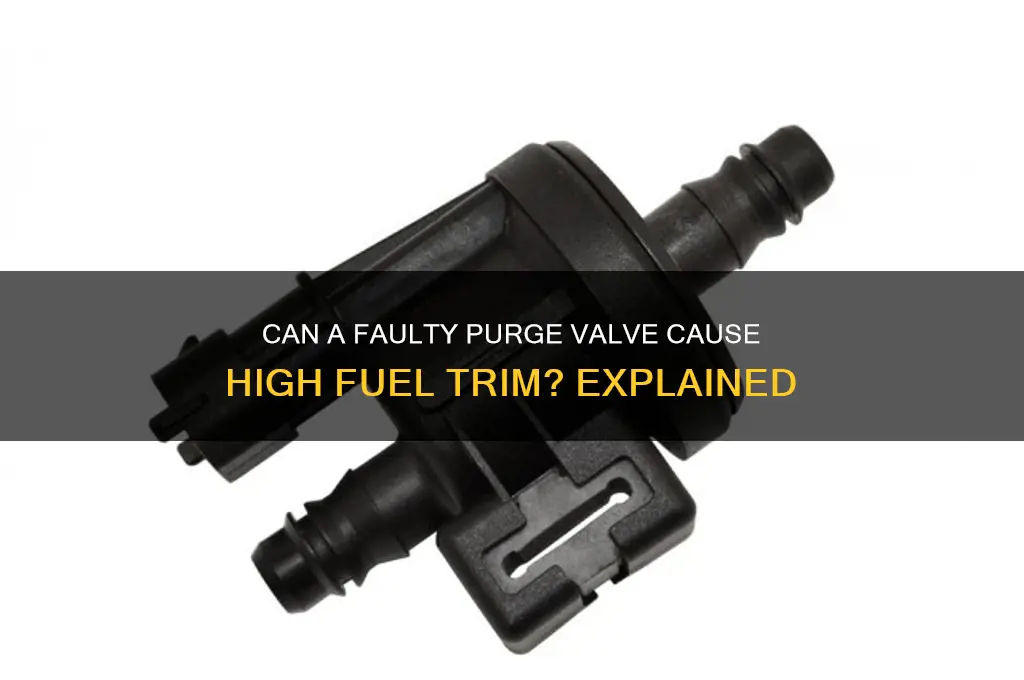 can purge valve cause high fuel trim