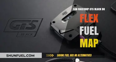 RaceChip GTS Black Flex Fuel Mapping: Compatibility and Performance Insights