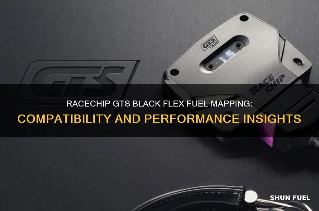 can racechip gts black do flex fuel map