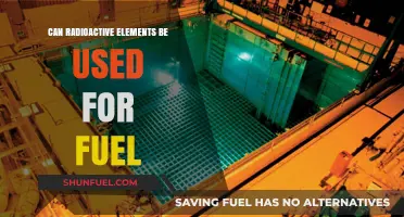 Harnessing Radioactive Elements: Potential Fuel Source or Risky Venture?