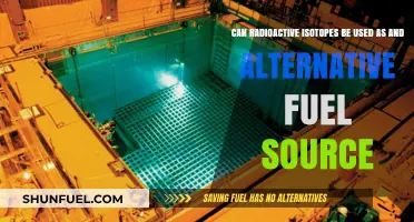 Exploring Radioactive Isotopes as a Sustainable Alternative Fuel Source
