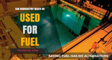 Repurposing Radioactive Waste: A Potential Fuel Source for the Future?