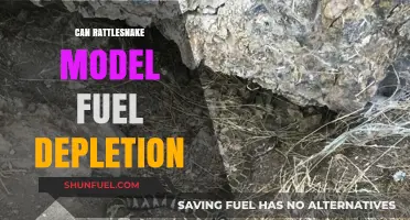 Rattlesnake Model's Potential in Predicting Fuel Depletion Trends